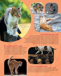 Les animaux familiers