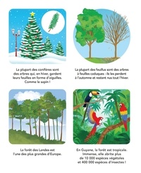 Les travaux de la forêt française