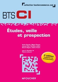 Thierry Lefeuvre - Etudes, veille et prospection BTS CI.