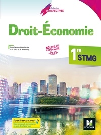 Jean-Charles Diry et Régine Aidemoy - Droit-Economie 1re STMG Perspectives - Manuel élève.