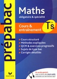 Jean-Dominique Picchiottino et Denis Girard - Mathématiques Terminale S - Cours et entraînement.