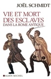 Joël Schmidt - Vie et mort des esclaves dans la Rome Antique.