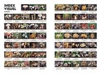 Guide des champignons. Le guide simple et visuel pour identifier plus de 200 champignons