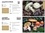 Pascal Revil et Amandine Barone - Guide des champignons - Le guide simple et visuel pour identifier plus de 200 champignons.