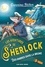 Geronimo Stilton - Les aventures de Sherlock Tome 5 : Des ombres dans la brume.