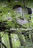 Gilles A. Tiberghien - De la nécessité des cabanes.