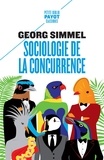 Georg Simmel - Sociologie de la concurrence.