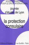 Habib Gherari et Stéphane Doumbé-Billé - La protection consulaire - Journée d'études de Lyon SFDI.