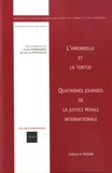 Julian Fernandez et Olivier de Frouville - L'hirondelle et la tortue - Quatrièmes journées de la justice pénale internationale.