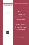 Julian Fernandez et Olivier de Frouville - Tensions et dynamiques de la justice pénale internationale - Sixièmes journées de la justice pénale internationale.