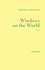 Frédéric Beigbeder - Windows on the world.