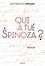 Jean-François Bensahel - Qui a tué Spinoza ?.
