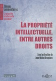 Jean-Michel Bruguière - La propriété intellectuelle entre autres droits.