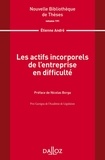 Etienne André - Les actifs incorporels de l'entreprise en difficulté.
