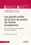 Hélène Gaudin et Marc Blanquet - Les grands arrêts de la Cour de justice de l'Union européenne - Droit constitutionnel et institutionnel de l'Union européenne.