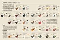 Guitares, l'encyclopédie ultime. Fender, Gibson, Gretsch, Martin, Rickenbacker...