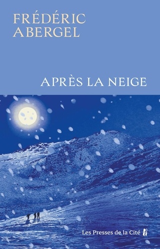 Vers le roman  Après la neige de Frédéric Abergel