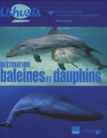 Marie Lescroart - Destination baleines et dauphins.