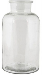 Coffret Noyaux & boutures. Le livre-guide avec 1 vase en verre et 1 coupelle en laiton
