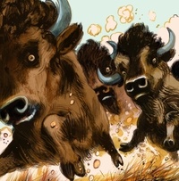 Pitikok Tome 5 Pitikok et le bébé bison