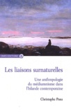 Christophe Pons - Les liaisons surnaturelles - Une anthropologie du médiumnisme dans l'Islande contemporaine.