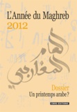 Vincent Geisser - L'Année du Maghreb N° 8/2012 : Un printemps arabe ?.