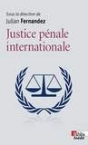 Julian Fernandez - Justice pénale internationale.