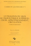 Pierre-Yves Demars - L'utilisation du silex au paléolithique supérieur, choix approvisionnement, circulation : l'exemple du bassin de Brive.