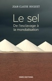 Jean-Claude Hocquet - Le sel - De l'esclavage à la mondialisation.