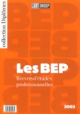 Benoît Bouyx - Les BEP.