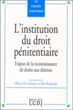 Olivier De Schutter et Dan Kaminski - L'Institution Du Droit Penitentiaire. Enjeux De La Reconnaissance De Droit Aux Detenus.