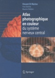 Vincent Di Marino - Atlas photographique en couleur du système nerveux central.