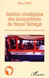 Maya Leroy - Gestion stratégique des écosystèmes du fleuve Sénégal - Actions et inactions publiques internationales.