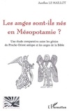 Aurélien Le Maillot - Les anges sont-ils nés en Mésopotamie ? - Une étude comparative entre les génies du Proche-Orient antique et les anges de la Bible.