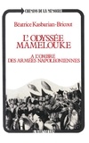  XXX - L'Odyssée Mamelouke - A l'ombre des armées napoléoniennes.