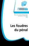 Jérôme Ferrand et Xavier Pin - L'IRASCible N° 2 : Les foudres du pénal.