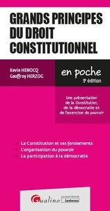 Kévin Henocq et Geoffroy Herzog - Grands principes du droit constitutionnel - Une présentation des notions de constitution, de démocratie et d'exercice du pouvoir.