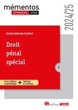Coralie Ambroise-Castérot - Droit pénal spécial.