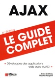 Bruno Catteau et Nicolas Faugout - AJAX, Le guide complet.