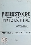 Claude Boisse et Arsène Héritier - Préhistoire et Protohistoire du Tricastin.