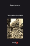 Thierry Calmettes - Les sanglots longs.