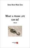 Sékou abdoul nasser Manou - What a prank life can be! - Novel.