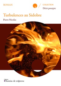 Pierre Nicolas - Turbulences au Sidobre.