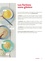 Coralie Ferreira - Super recettes sans gluten - Des conseils et des recettes hautes en couleurs et en saveurs !.