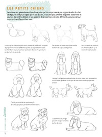 Dessiner les animaux. 50 modèles pour débuter