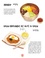 Luna Kyung et  AhnJi - La cuisine coréenne illustrée.