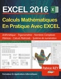 Patrice Rey - Calculs mathematiques en pratique avec Excel 2016.