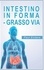Paul Enders - Intestino in forma - Grasso via.