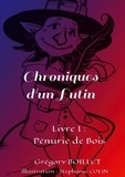 Grégory Boillet - Chroniques d'un Lutin Tome 1 : Pénurie de Bois.