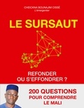 Cheickna Bounajim Cissé - Le sursaut.